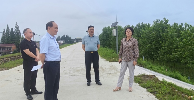 马吉云督导鼎城区民主阳城垸防汛备汛工作